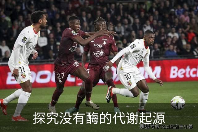 探究没有酶的代谢起源